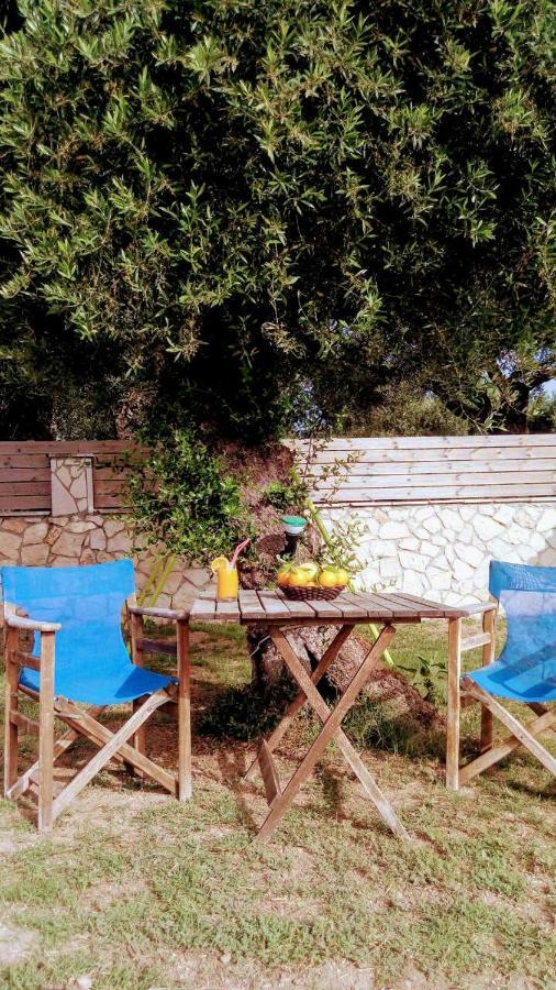 Villa Julia Tsilivi (Zakynthos) Exterior foto